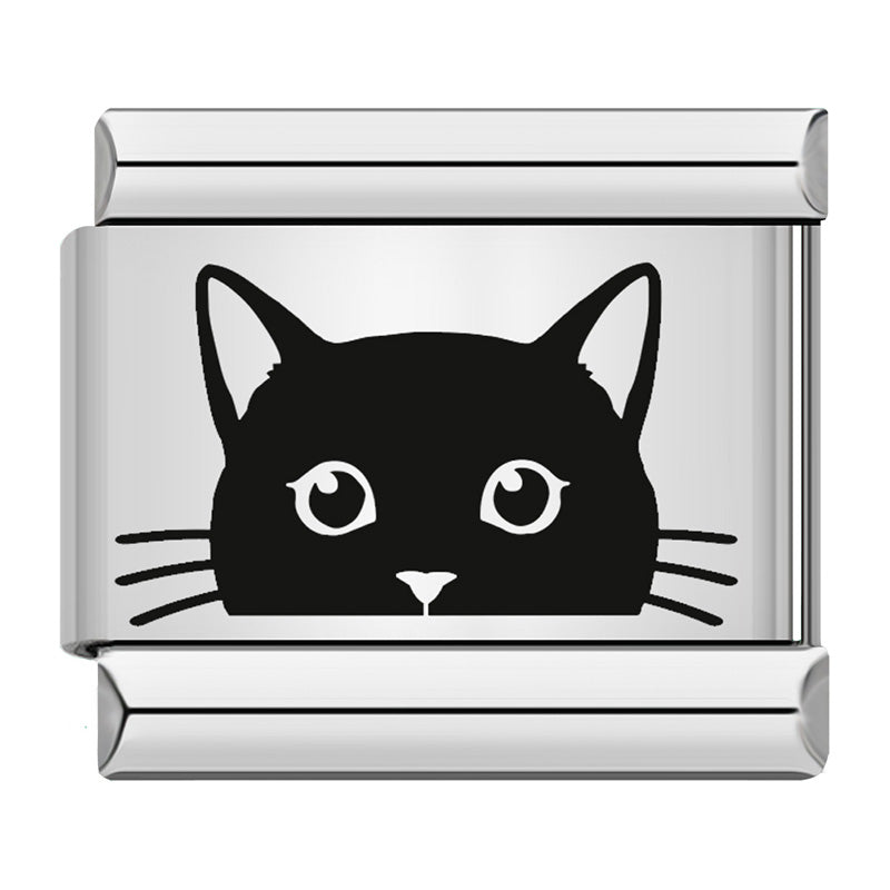 Katze